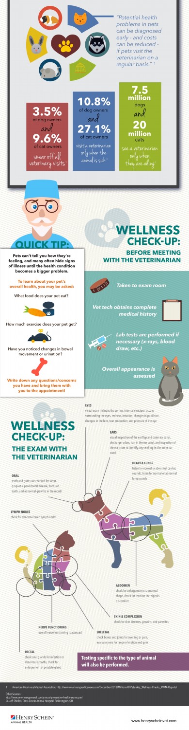 Wellness Exam Infographic